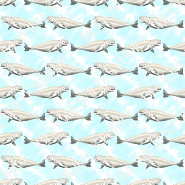 Beluga Bliss Seamless